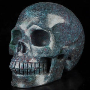 May include: A detailed, carved skull sculpture with a mottled teal and burgundy color scheme. The skull features realistic details, including eye sockets, a nose cavity, and a full set of teeth. The surface has a textured appearance.