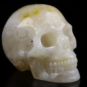 Könnte beinhalten: Ein geschnitzter Schädel aus hellem Stein, möglicherweise Jade oder Marmor. Der Schädel hat detaillierte Merkmale, darunter Augenhöhlen, Nasenhöhle und Zähne. Der Stein hat eine glatte, polierte Oberfläche mit Farbvariationen, vor schwarzem Hintergrund. Dekoration.