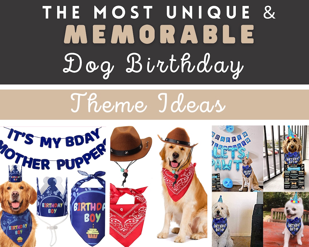 Dog Birthday Ideas Dog Birthday Themes Lets Pawty Dog Party Etsy