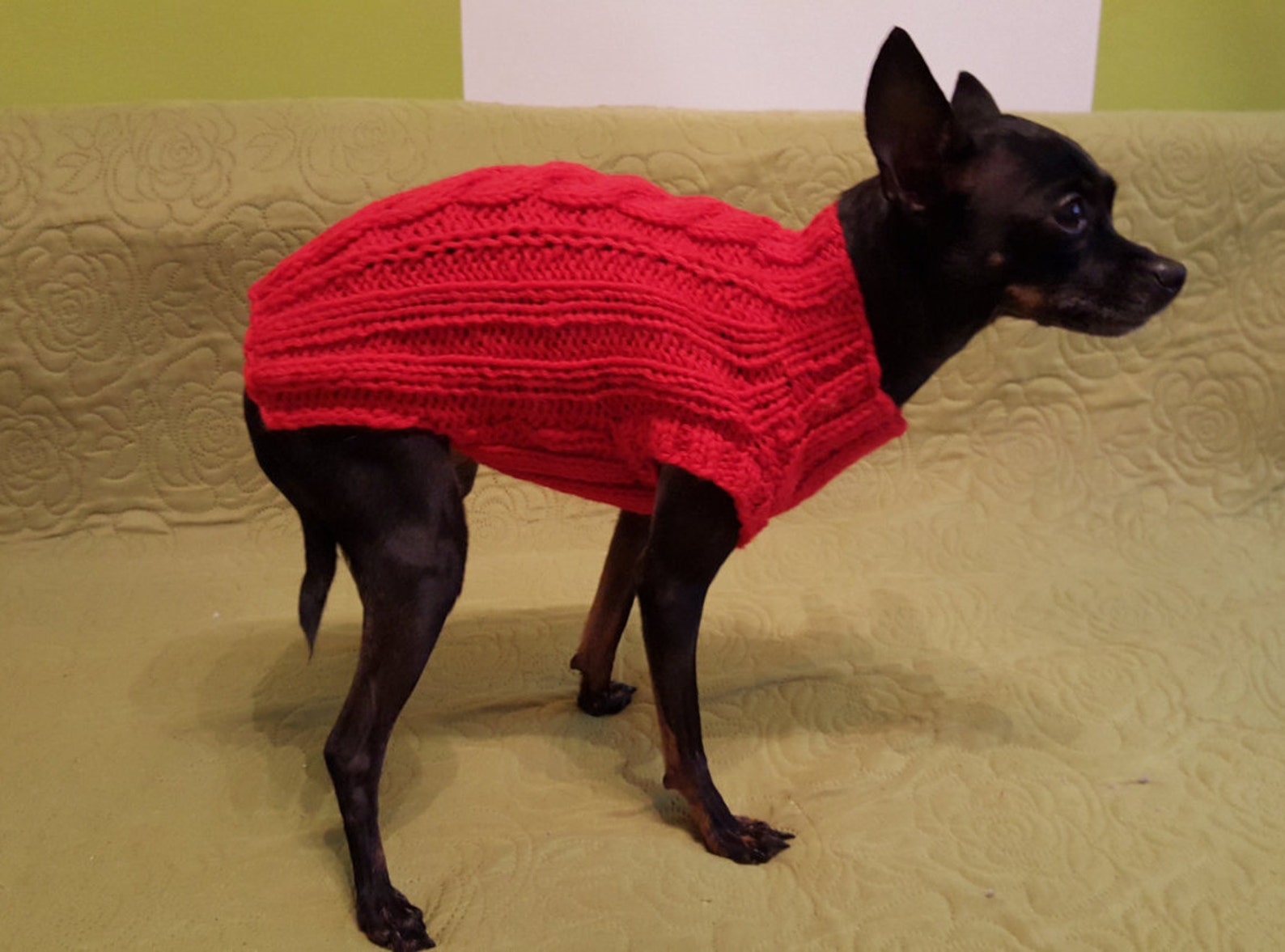 Small Dog Sweater red Cable Knit Dog Sweaterknitted Dog Etsy Canada