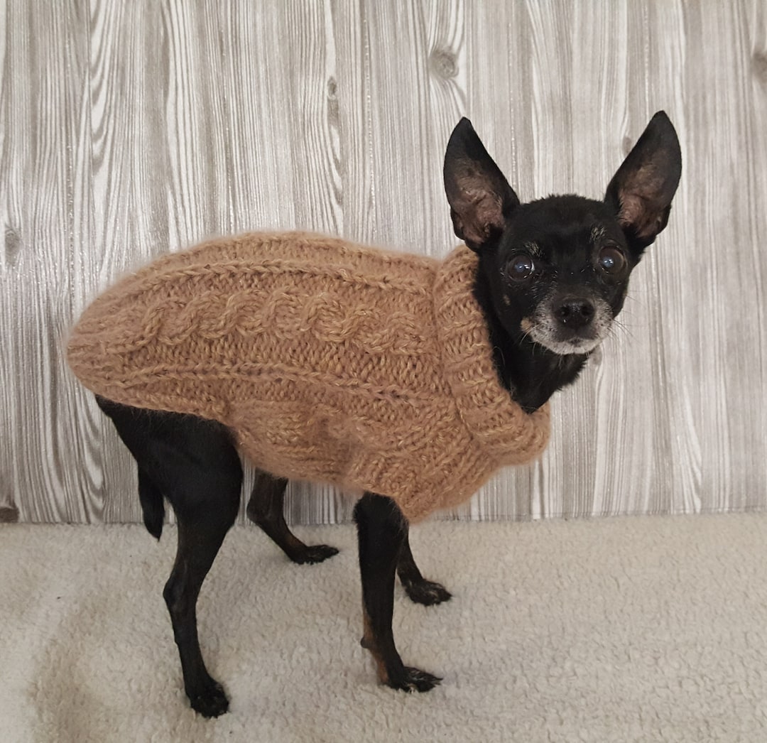 Pull pour petit chienpull pour chien tricoté à la mainmanteau pour chiencostume pour chien