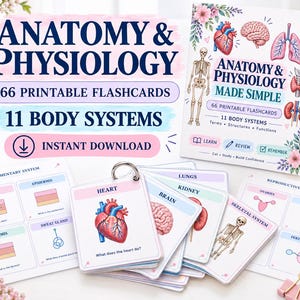 Puede incluir: Conjunto educativo de anatomía y fisiología con 66 tarjetas didácticas imprimibles que cubren 11 sistemas corporales. El set incluye una tarjeta de portada titulada Anatomy and Physiology Made Simple, tarjetas individuales con órganos como el corazón y el cerebro, y hojas de referencia con diagramas de los sistemas tegumentario y reproductivo.