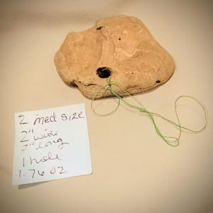 Puede incluir: Una piedra de color tostado con forma irregular, un solo orificio perforado y un hilo verde enhebrado. Una nota blanca al lado dice: 2 med size, 2" wide, 2" long, 1 hole, 1.76 oz. La piedra tiene una superficie rugosa y bordes naturales.