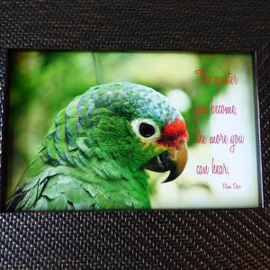 May include: A framed print showing a close-up of a green parrot with a red patch on its head. The image includes the quote, "The quieter you become, the more you can hear." The frame has a dark brown woven texture.