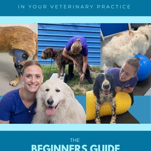 Puede incluir: Una guía digital titulada INTRODUCING REHABILITATION IN YOUR VETERINARY PRACTICE THE BEGINNERS GUIDE por Zoe Booth, CCRP, enfermera veterinaria registrada. La portada presenta un collage de perros realizando ejercicios de fisioterapia.