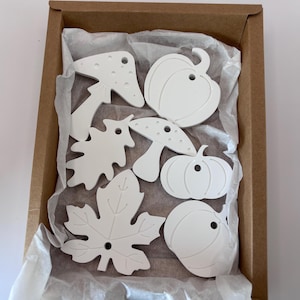 Könnte beinhalten: Ein Set aus sieben weißen, flachen Ornamenten mit matter Oberfläche in Form von Kürbissen, Pilzen und Blättern, die jeweils ein kleines Loch zum Aufhängen haben. Die Ornamente liegen in einer braunen Pappschachtel, die mit weißem Seidenpapier ausgelegt ist.