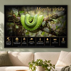MORELIA VIRIDIS Python- Green Tree Python- Printable Educational FRENCH Poster