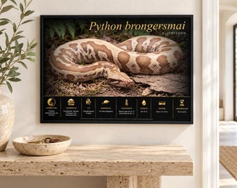 PYTHON BRONGERSMAI -  Printable Educational Poster fr/en/de/it/es language