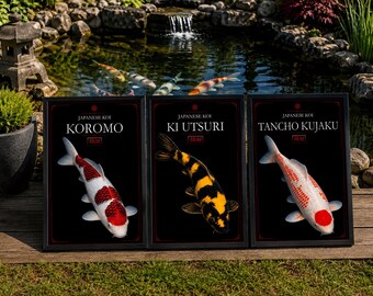 3 Japanese Koi Art Prints, Black White Pond Fish Decor (Digital Download)