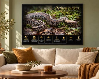 PYTHON CURTUS - Afdrukbare educatieve poster fr/en/de/it/es ​​taal
