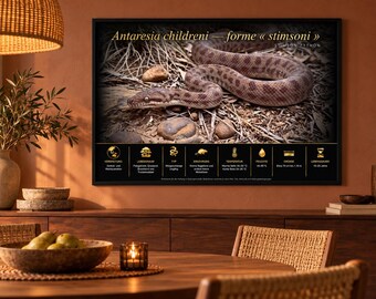 ANTARESIA CHLIDRENI stimson - Afdrukbare educatieve poster fr/en/de/it/es ​​taal
