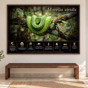 Op de afbeelding: Een rechthoekige wandkunstprint met een felgroene Morelia viridis slang opgerold op een boomtak. Onder de slang toont een zwart informatiepaneel gouden iconen en tekst met details over het leefgebied en de biologische gegevens van de soort.