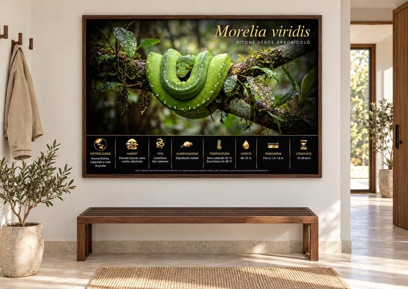 Op de afbeelding: Een rechthoekige wandkunstprint met een felgroene Morelia viridis slang opgerold op een boomtak. Onder de slang toont een zwart informatiepaneel gouden iconen en tekst met details over het leefgebied en de biologische gegevens van de soort.