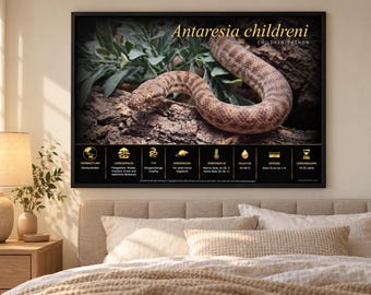 ANTARESIA CHLIDRENI -  Printable Educational Poster fr/en/de/it/es language