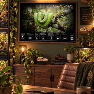 May include: A rectangular wall poster featuring a bright green Morelia viridis snake coiled on a tree branch. The poster includes the scientific name, French common name, and a series of icons with text detailing habitat, diet, and care requirements.