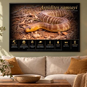 May include: A framed wall poster featuring a photograph of a brown and tan banded Aspidites ramsayi Woma python on dry ground. Below the snake, a black panel displays gold icons and German text detailing the species' habitat, diet, and care.