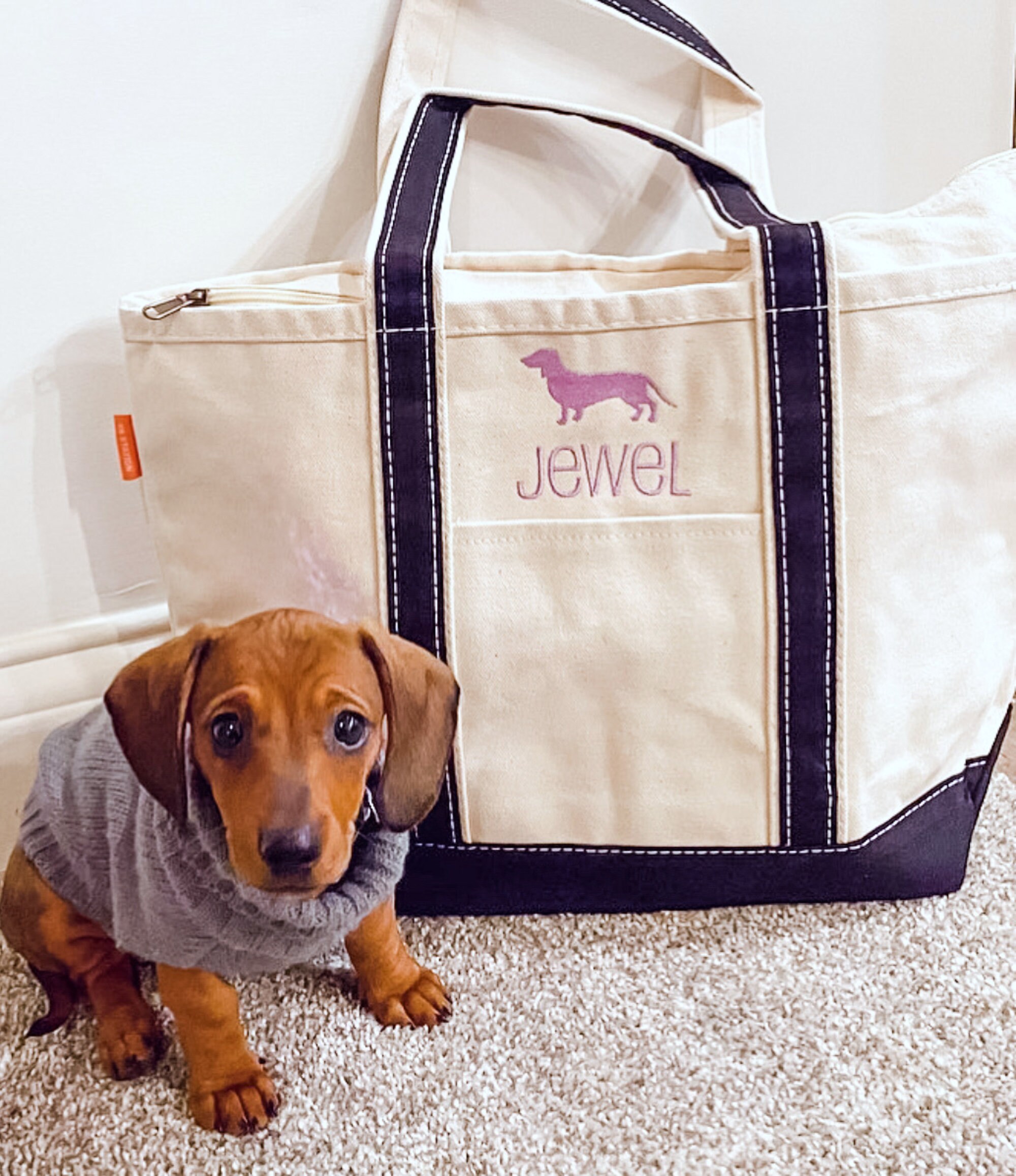 Fetching Finds: Lands End Carry Bag for Dachshunds