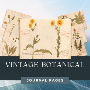 kit de journal botanique vintage Junk - Idéal pour les débutants, le bricolage, les plantes et les fleurs à l'aquarelle | Téléchargement numérique