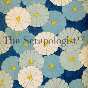 May include: A blue and white floral pattern with white flowers with yellow centers on a dark blue background. The pattern is repeated throughout the image.