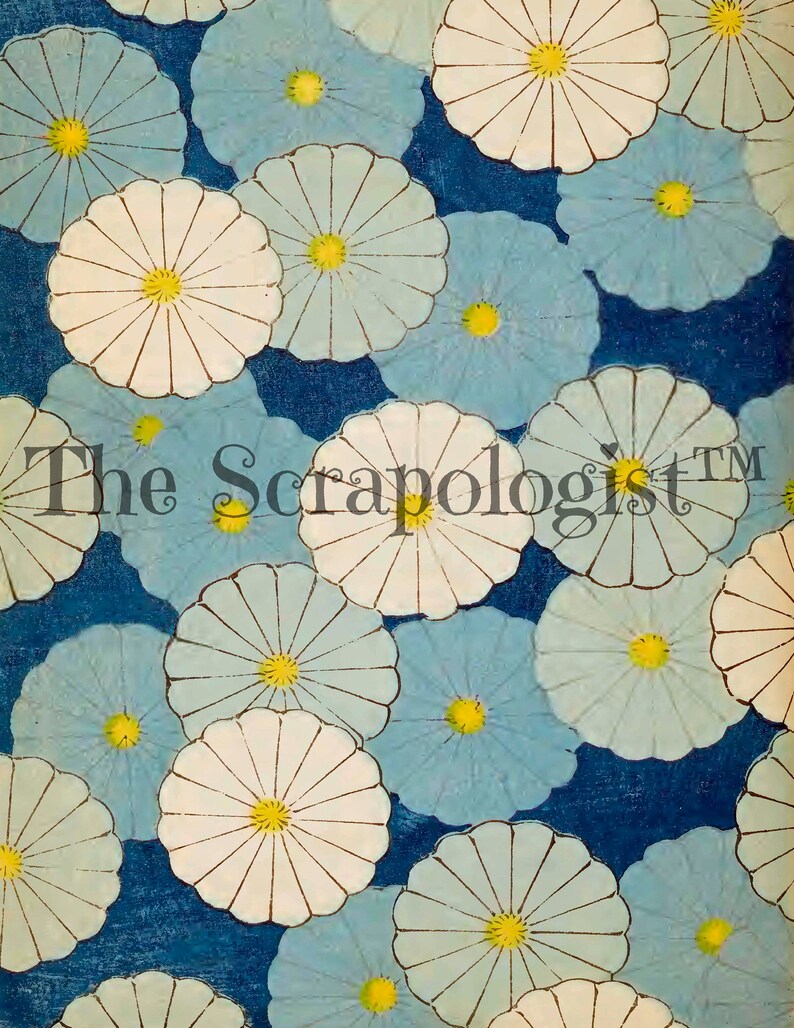 May include: A blue and white floral pattern with white flowers with yellow centers on a dark blue background. The pattern is repeated throughout the image.