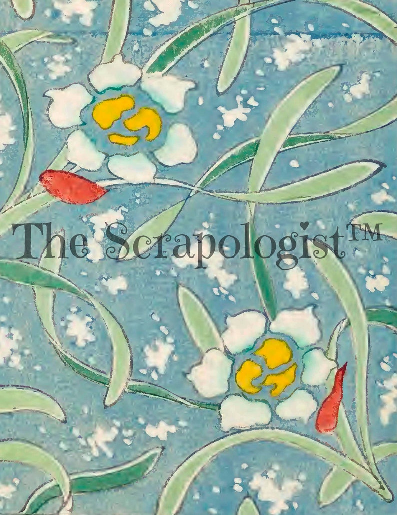 May include: A blue background with a white floral pattern. The flowers have yellow centers and red stems. The text "The Scrapologist&trade;" is in the center of the image.