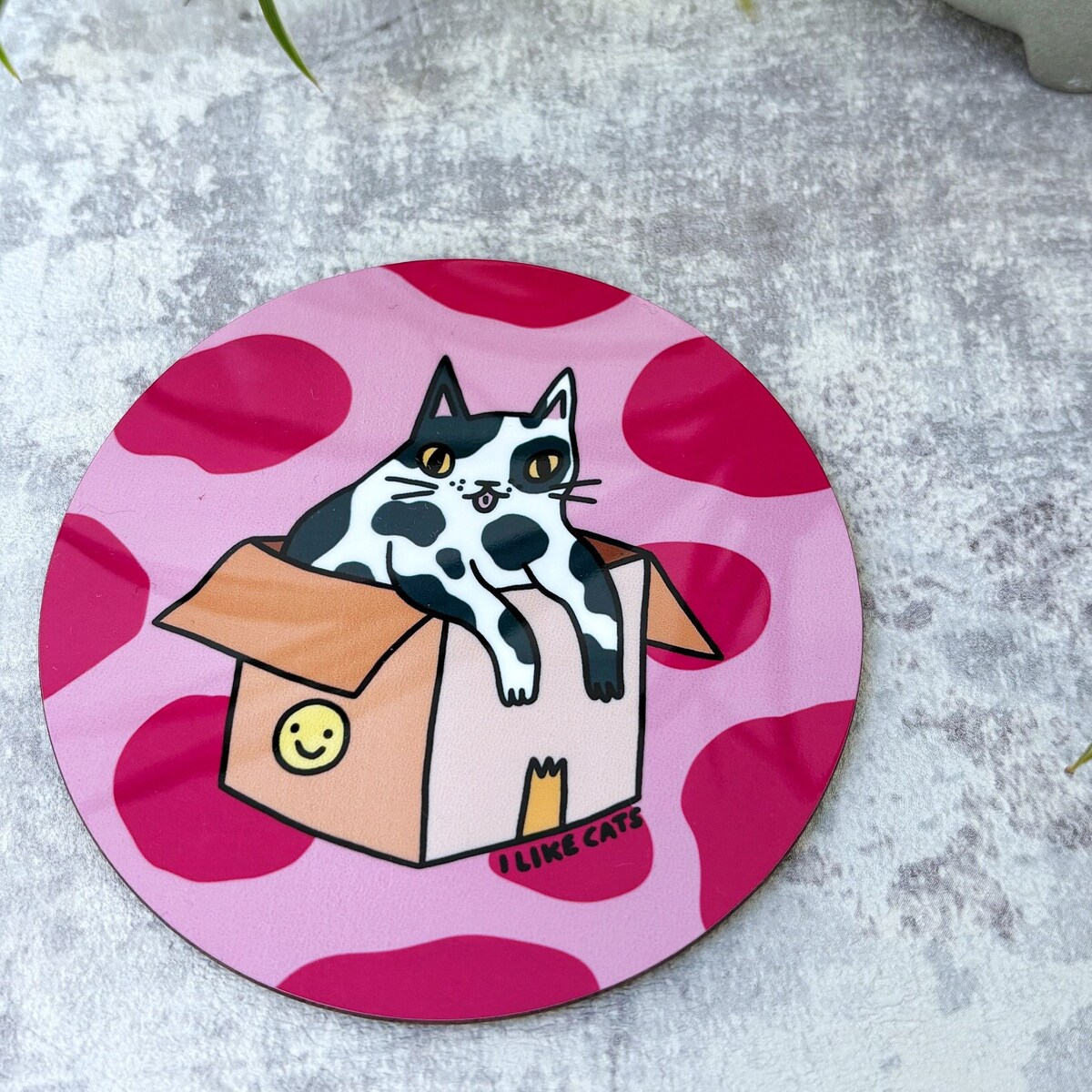 Cat in a Box Drinks Coaster - Etsy