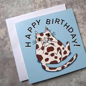 Splodge cat Happy Birthday greetings card, blank inside birthday card image 5