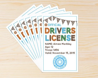 Powder Puff Derby Drivers Licenses  - INSTANT DOWNLOAD PRINTABLE - Girl Power Collection