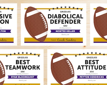 TEAM COLORS Editable Football Awards Certificates - Instant Download Printable PDF - Purple and Gold - Editable