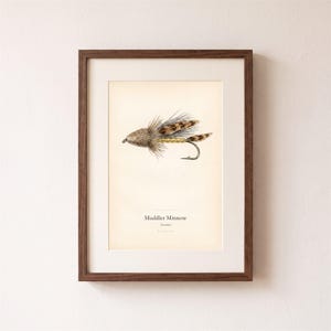 Pode incluir: Uma impressão emoldurada com uma ilustração detalhada de uma mosca de pesca Muddler Minnow. A mosca tem penas castanhas e bege, um corpo dourado e um anzol de metal. Abaixo da ilustração, o texto diz Muddler Minnow, Streamer, Plate 09.