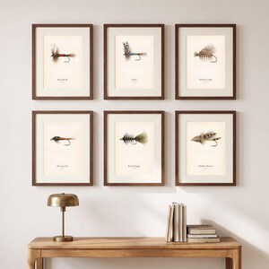 May include: Six framed wall art prints featuring detailed illustrations of fishing flies, each labelled with names like Royal Wulff, Adams, Elk Hair Caddis, Pheasant Tail, Woolly Bugger, and Muddler Minnow, displayed in dark wood frames on a wall.