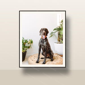 German Pointer Wine Pairing Photo Print, Real Pet Photography Wall Art, Dog Lover & Sommelier Gift, Digital Download