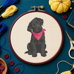 Op de afbeelding: Een kruissteek borduurproject in een ronde houten borduurring met een zwarte Labrador puppy die een felroze bandana draagt. Het ontwerp is geborduurd op crèmekleurige Aida-stof en toont de puppy in een zittende houding.