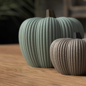 May include: Two decorative pumpkins with a textured, ribbed surface. The larger pumpkin is a muted sage green with a dark stem, while the smaller pumpkin is a neutral taupe grey with a dark stem, both featuring a consistent vertical pattern.