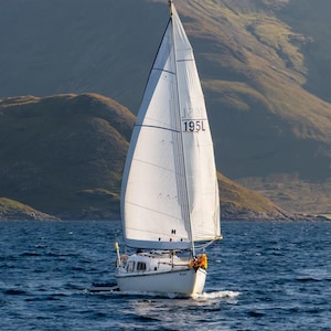 Puede incluir: Un velero blanco con un mástil alto y una vela blanca que muestra el texto negro 195L. El barco tiene un casco blanco y navega sobre aguas de color azul intenso. La embarcación se sitúa frente a grandes colinas verdes bajo luz natural.