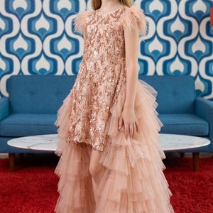 Può includere: Un abito asimmetrico color oro rosa con corpetto senza maniche decorato con paillettes e frange, accentuato da delicate piume sulle spalle. La gonna è composta da molteplici strati di tulle arricciato, creando una silhouette voluminosa e fluida.