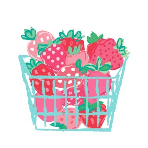 Strawberry Illustration