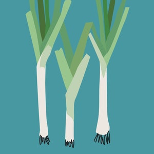 Vegetable Garden Wall Art Illustrations