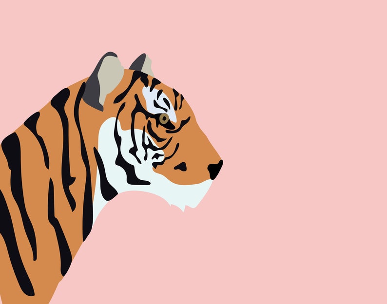 K&ouml;nnte beinhalten: Nahaufnahme eines Tigerkopfes mit orangefarbenen und schwarzen Streifen, der nach rechts schaut. Der Hintergrund ist hellrosa.