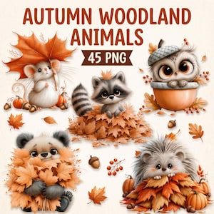 Peut inclure: Une collection numérique de 45 images PNG intitulée AUTUMN WOODLAND ANIMALS représentant une souris tenant une feuille d'érable, un raton laveur dans des feuilles, un hibou dans un gland, un ourson sous des feuilles et un hérisson avec des citrouilles.