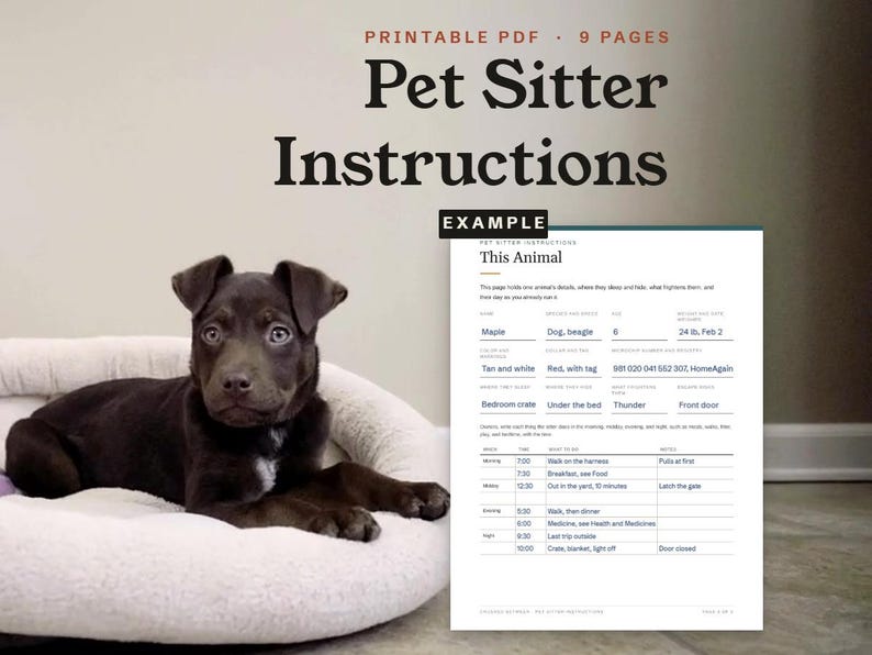 Pet Sitter Instructions