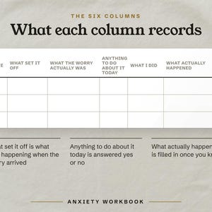 What each column records