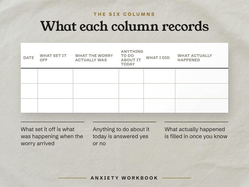 What each column records