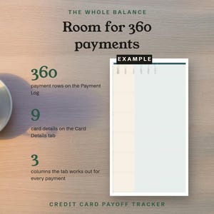 The whole balance, room for 360 payments on the Payment Log, shown as an example