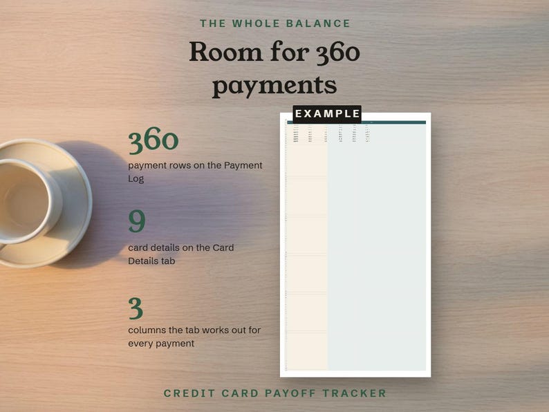 The whole balance, room for 360 payments on the Payment Log, shown as an example