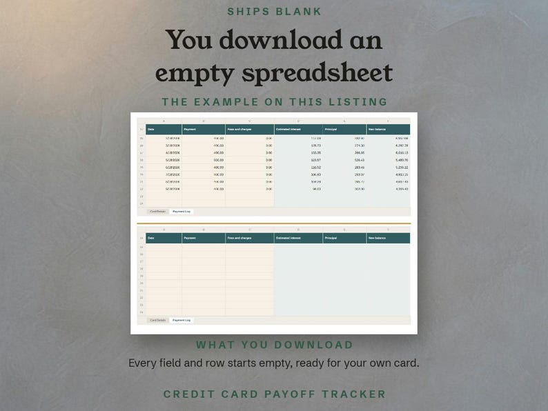 Ships blank, the filled example above the empty Payment Log you download