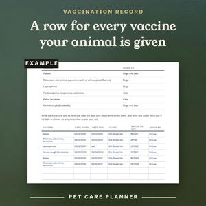 A row for every vaccine your animal is given, filled in as an example