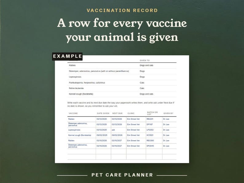 A row for every vaccine your animal is given, filled in as an example