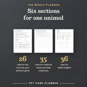 Six sections for one animal