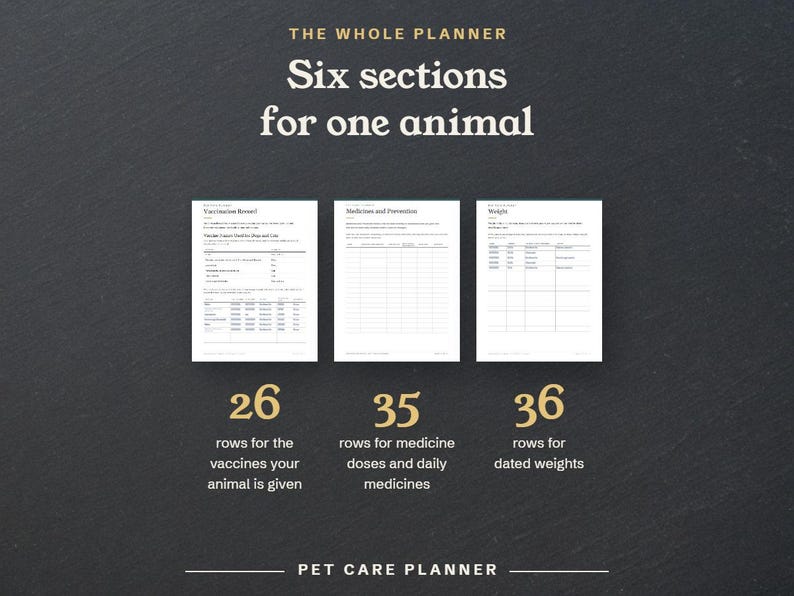 Six sections for one animal